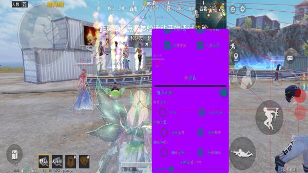 和平精英「小提琴」直装辅助